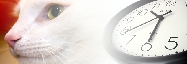 Tierarztpraxis Dr. Mohr